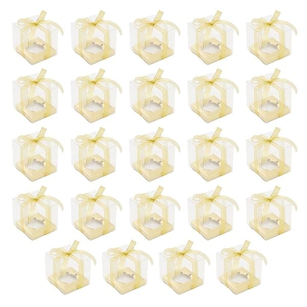 Clear-lid individual cupcake boxes for party favor packaging