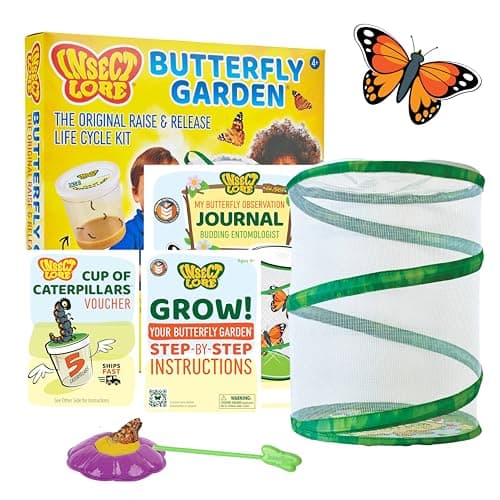Insect Lore Butterfly Garden kit with pop-up habitat and caterpillar voucher for raising painted lady butterflies